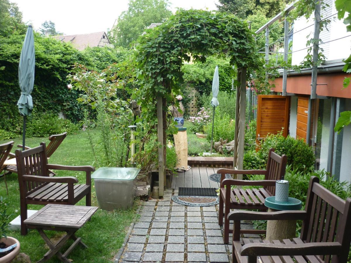Haus Am Sandsteinbruch Zaberfeld Exteriör bild